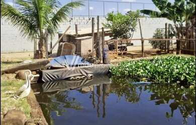 Imagem 5: Chácara a venda no Parque da Represa - Paulínia