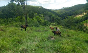 Imagem 3: Excelente oportunidade terreno rural de 13 hectares, Jaboticatubas(Temos varias opções