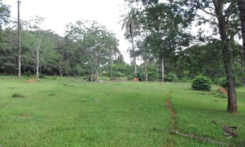 Imagem 4: Linda chácara de 20 mil metros, Jaboticatubas (Temos mais opções