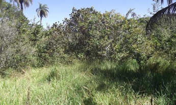 Imagem 5: Lindo terreno Rural de 80.000m², Serra do Cipo (Temos varias opções
