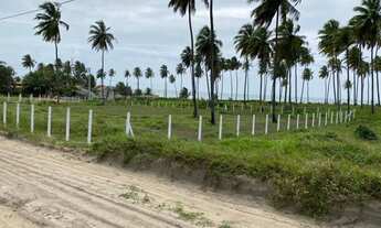 Imagem 6: Area a venda em Praia Bela a 40 mts do mar ( 2033 m²