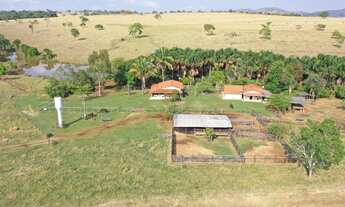 Imagem 7: Fazenda 67 Alqueires em Santa Isabel-Go