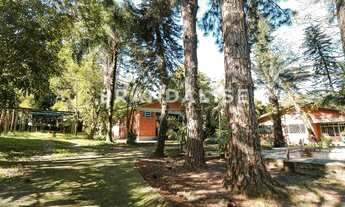 Imagem 6: Terreno em Centro