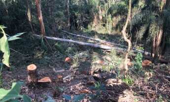 Imagem 3: Terreno condomínio chácara Jaragua