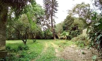 Imagem 2: Terreno em Pedra Redonda