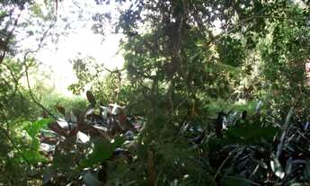 Imagem 5: Terreno em Belém Novo