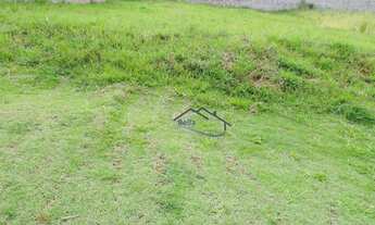 Imagem 2: Vintage (Granja Viana