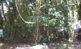 Imagem 3: Terreno em Belém Novo