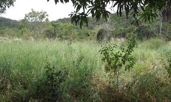 Imagem 7: Chacaras a partir de 800m² as margens do rio Cipó, (Serra do Cipó) Temos varias opções