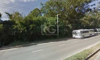 Imagem 2: Terreno em Lomba Do Pinheiro