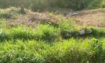 Imagem 3: Lote/Terreno para venda tem 12411 metros quadrados em Bairro dos Remédios - Salesópolis