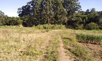 Imagem 4: Area em Campo Novo