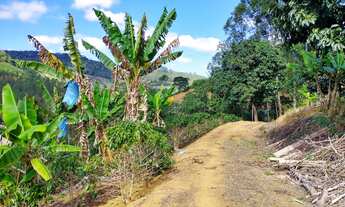 Imagem 6: Sítio em Domingos Martins com Pomar