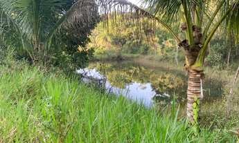 Imagem 2: Sítio 12 tarefas Gandaia - Guerem