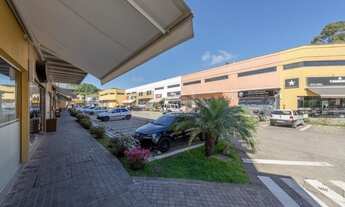 Imagem 3: Loja em Tristeza