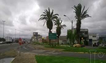 Imagem 6: Terreno em Igara