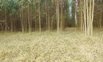 Imagem 3: ITAPETININGA - RURAL - ÁREA RURAL DE ITAPETININGA