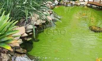 Imagem 5: Venda Apartamento com 3 dormitórios