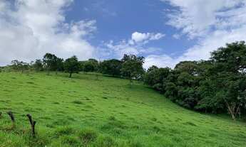 Imagem: LP - Vende-se terrenos amplos