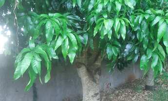 Imagem 3: Terreno gaveta no Cuca Fresca 1000 Metros