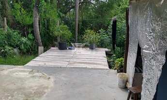 Imagem 5: Csaa no bairro Camaquã