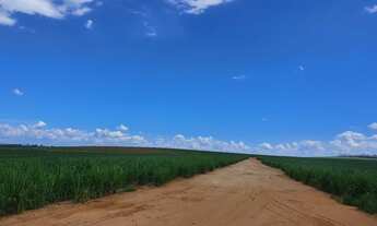 Imagem 7: Fazenda em mococa 88 alqueires 20.000.000.00 ( sand