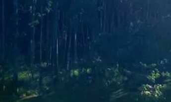 Imagem: Lote/Terreno para venda possui 600 metros