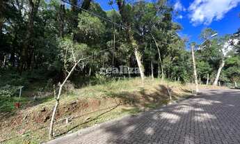 Imagem 3: TERRENO NO CONDOMÍNIO PINHEIRO GROSSO