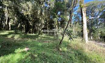 Imagem 5: TERRENO NO CONDOMÍNIO PINHEIRO GROSSO