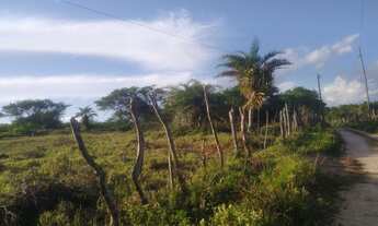 Imagem 3: Terreno com 98 Tarefas