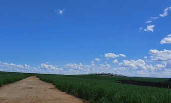 Imagem: Fazenda em mococa 88 alqueires 20.000.000.00