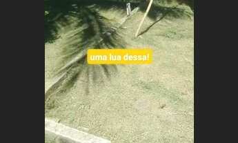 Imagem: Vendo essa casa no jardim catarina velho