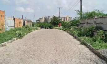 Imagem 3: Excelente terreno de 420m para construção de casas ou galpão em avenida calçada