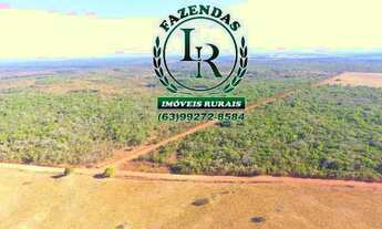 Imagem 5: Fazenda Agricultável, Área de 103 alqueires, Vale do Araguaia