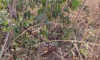 Imagem 5: Chácara em Jaraguá