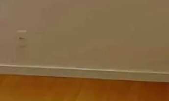 Imagem 6: Sala comercial com 36 metros quadrados em Santo Cristo - Rio de Janeiro - RJ