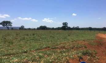 Imagem: Fazenda à venda em Quirinópolis/GO 43