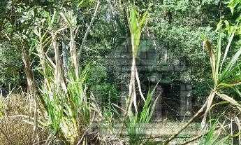 Imagem 4: Terreno à venda no Jardim Shangrilá (Zona Sul