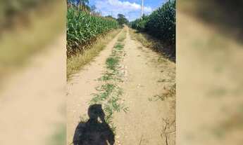 Imagem: Chácara à venda em Contenda 10.000 m²