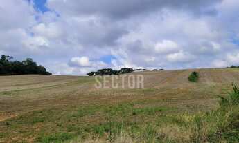 Imagem 3: Terrenos / Lotes / Condomínio em Boa Vista - Contenda