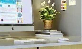 Imagem 12: Studio em Menino Deus