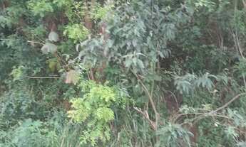 Imagem 3: Vende-se terreno 15x25