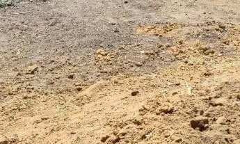 Imagem 9: Lote Itaipava Terreno / lote com venda por R$70.000