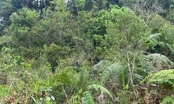 Imagem 4: Sítio à Venda no Vale Verde