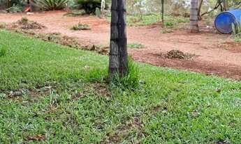 Imagem 4: Chácara em Idrolandia a 7 km da cidade .