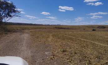 Imagem 5: Fazenda de 128 alqueires em Doverlandia-Go