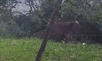 Imagem 2: Lote na Serra bicuda pequena