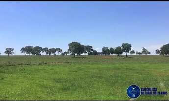 Imagem 3: Fazenda à venda em Quirinópolis/GO 43 Alqueires