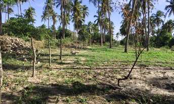 Imagem 3: Terreno beira-mar no centro de São Miguel do Gostoso (Único