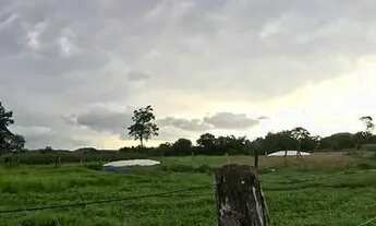 Imagem 6: FAZENDA 103 ALQ EM COLINAS DO SUL - GO